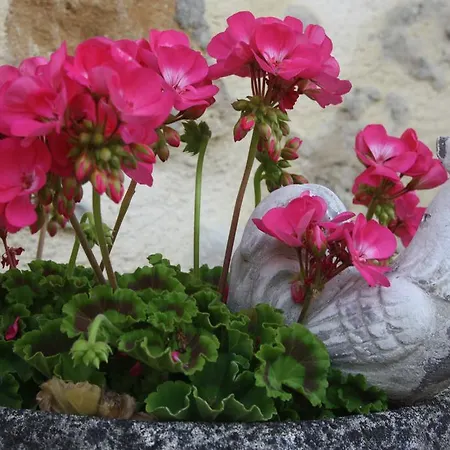 Le Coin Tranquille Hébergement de vacances *